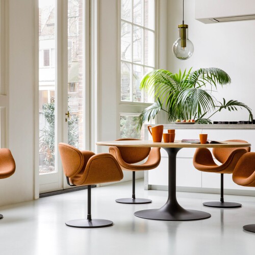 Tulip Midi Tek Koltuk